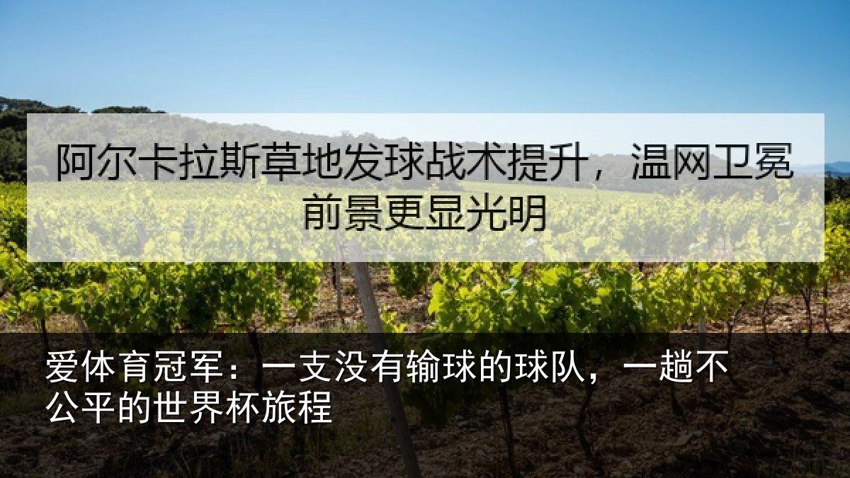 爱体育冠军:一支相关情况趟不相关情况