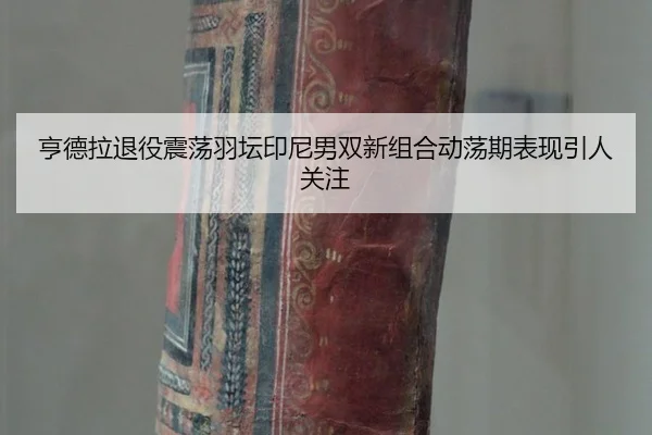 heng-de-la-tui-yi-zhen-dang-yu-tan-yin-ni-nan-shuang-xin-zu-he-dong-dang-qi-biao-xian-yin-ren-guan-zhu-3-757.jpg